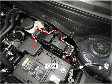 Hyundai Venue. Components and components location