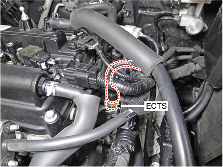 Hyundai Venue. Components and components location