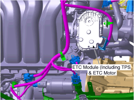 Hyundai Venue. Components and components location