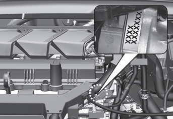 Hyundai Venue. Tire Specification and Pressure Label, Engine Number, Refrigerant Label