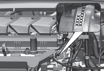 Hyundai Venue  Tire Specification and Pressure Label, Engine Number