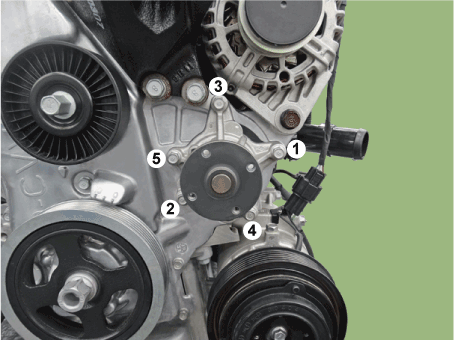 Hyundai Venue. Water pump. Repair procedures